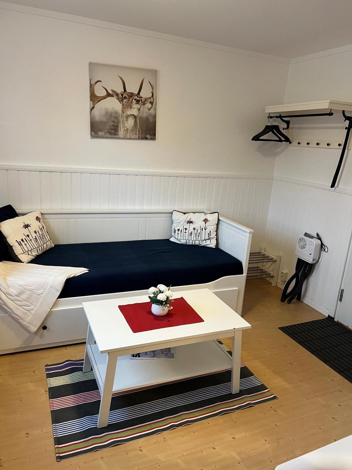Vasacenter B&B Transtrand Eksteriør billede